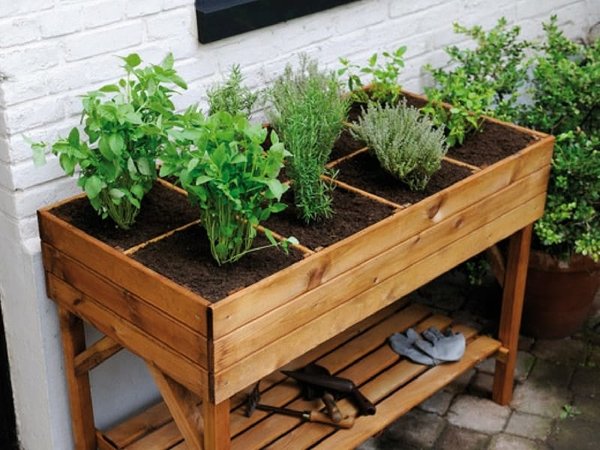 Quels sont les avantages, les limites et les conditions d'utilisations du potager surélevé ?