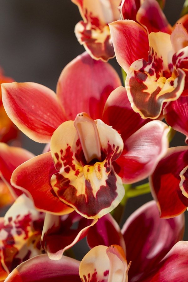 La magie des plantes artificielles : nature sans contrainte