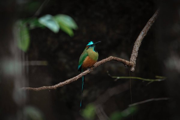 Comment créer une déco bohème dans votre chambre à coucher