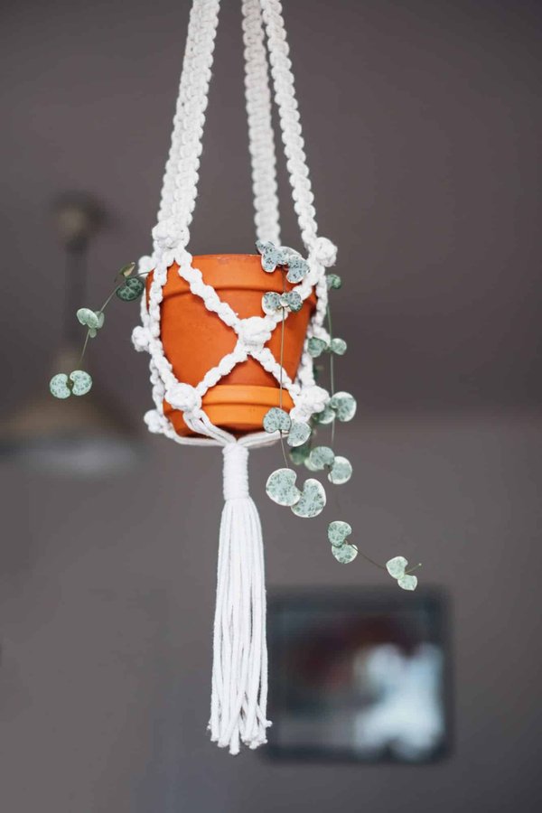 Décoration d'intérieur : comment choisir un porte-plante ?